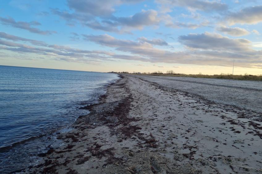 Camp  de Mar - foto 18