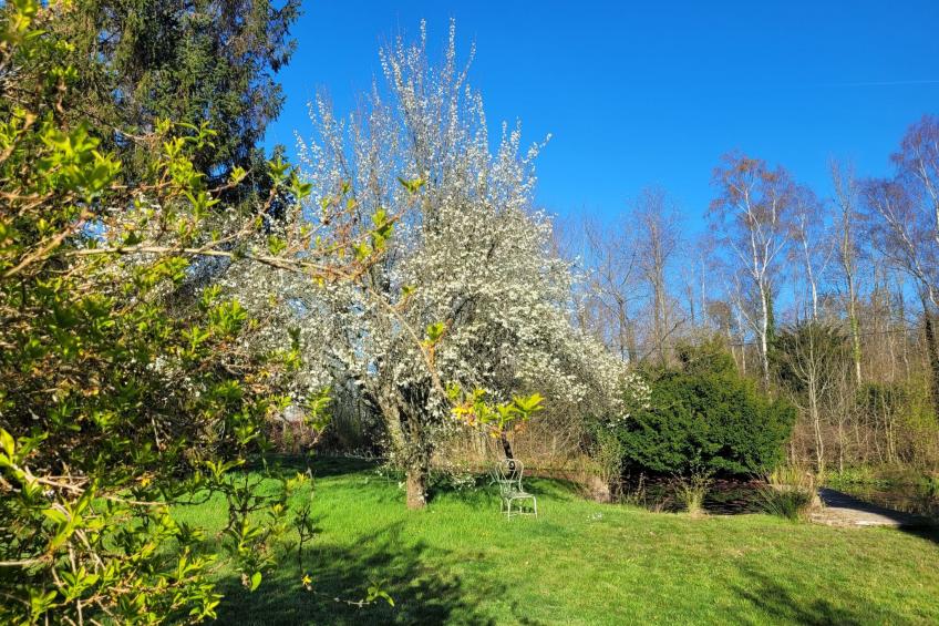 Renoviertes Ferienhaus in der Nähe von Cabourg-Deauville-Lisieux - foto 24