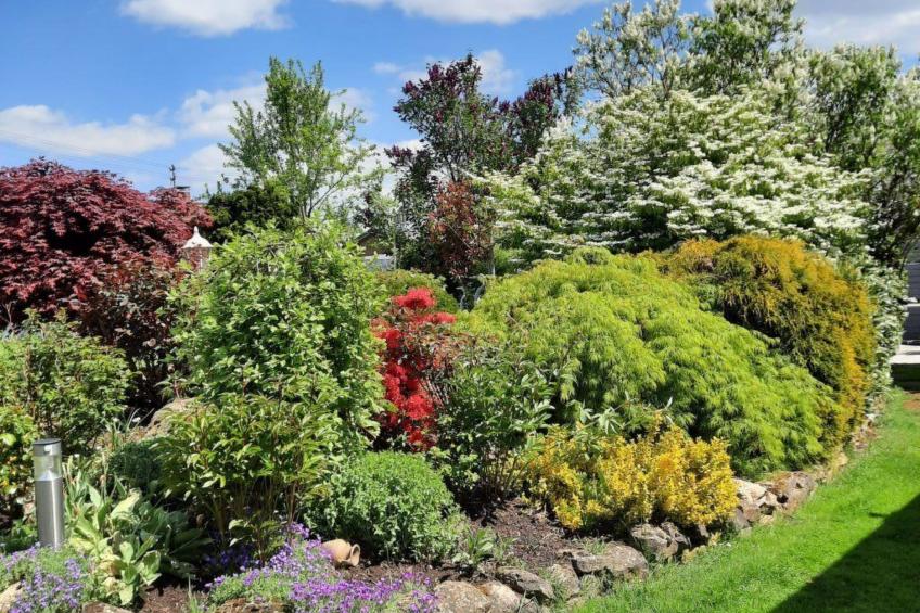 Ferienwohnung - foto 16