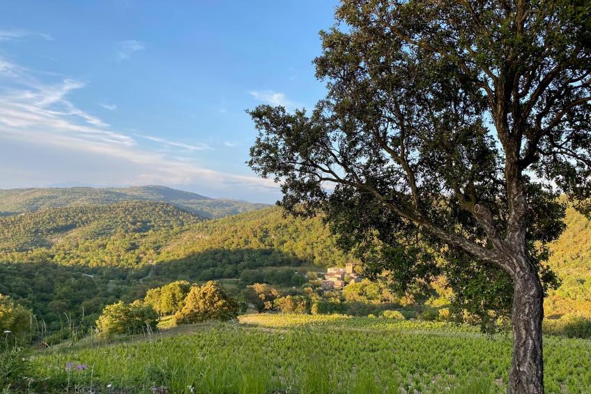 Les Roches du Sud - foto 23