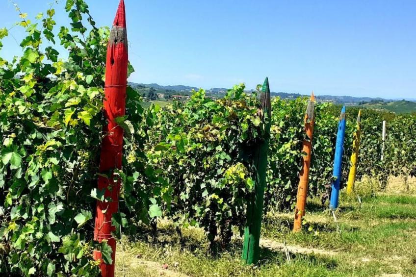 Villa Piemonte - foto 42