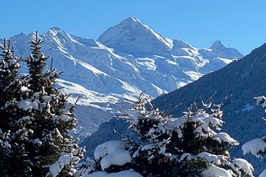 Le Chaînon - foto 26