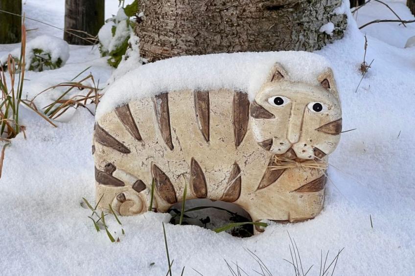 Chalet Vals - foto 14