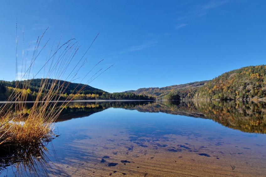 Midtholmen (SOW726) - foto 32