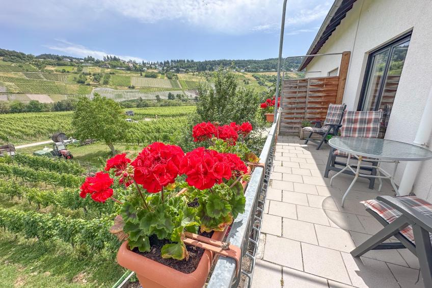 Weingut HermesLex - foto 15