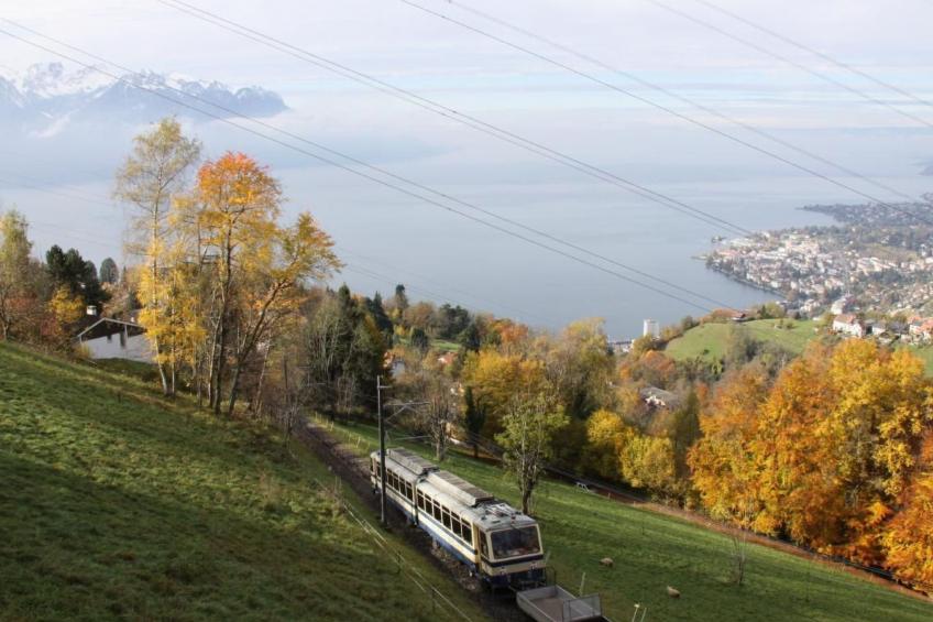 Gais Alpins - foto 8