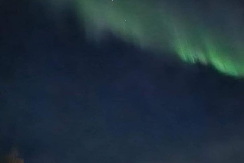 Villa Norrland - foto 26