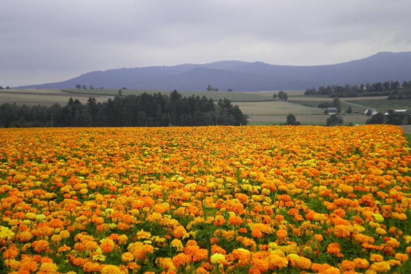 am Weißenstädter See - foto 38