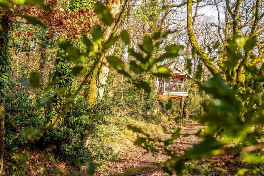 Yeworthy Eco-Treehouse - foto 15