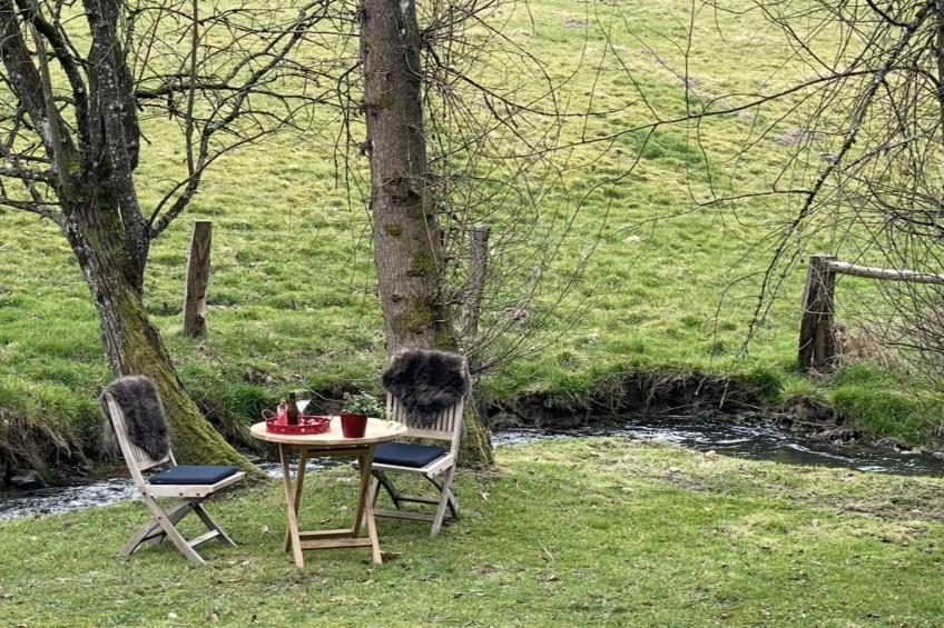 La Linotte - foto 14