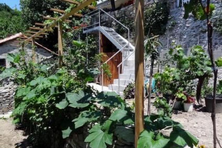 Villa Daphne - foto 6