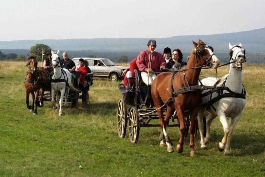 Hétkanyar Vendégház - foto 31