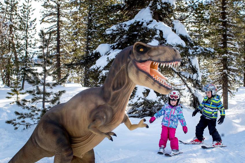 Mountain Chalet Chapeau - foto 40