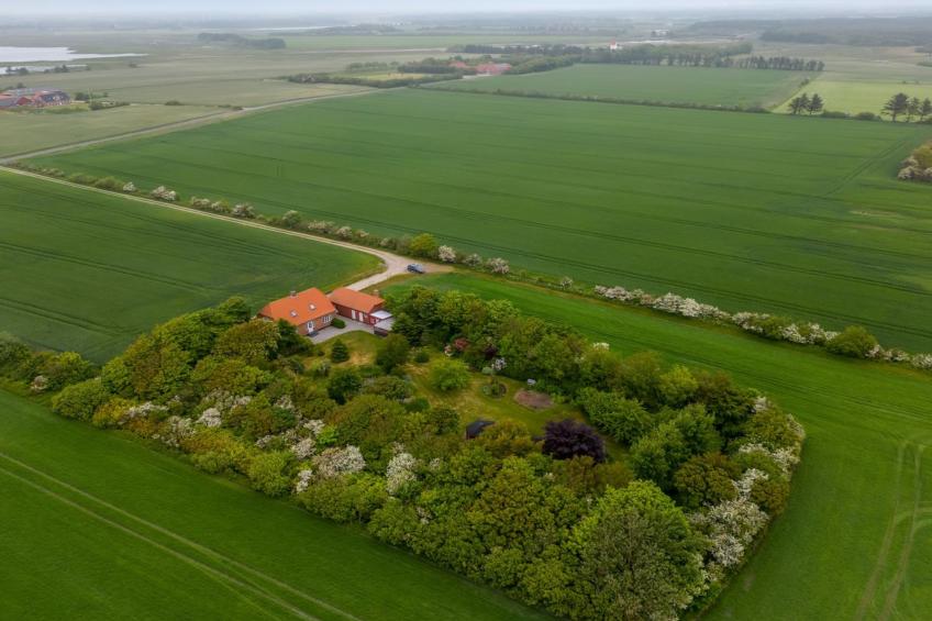 "Soria" - 600m to the inlet in Western Jutland - foto 2