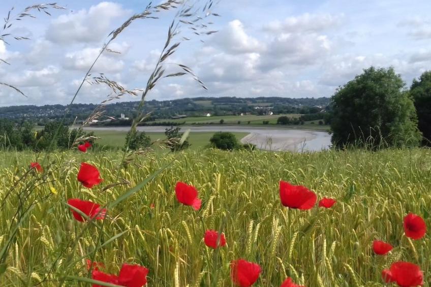 Gite Pamphilienne mit Blick auf Mont Saint Michel - foto 41