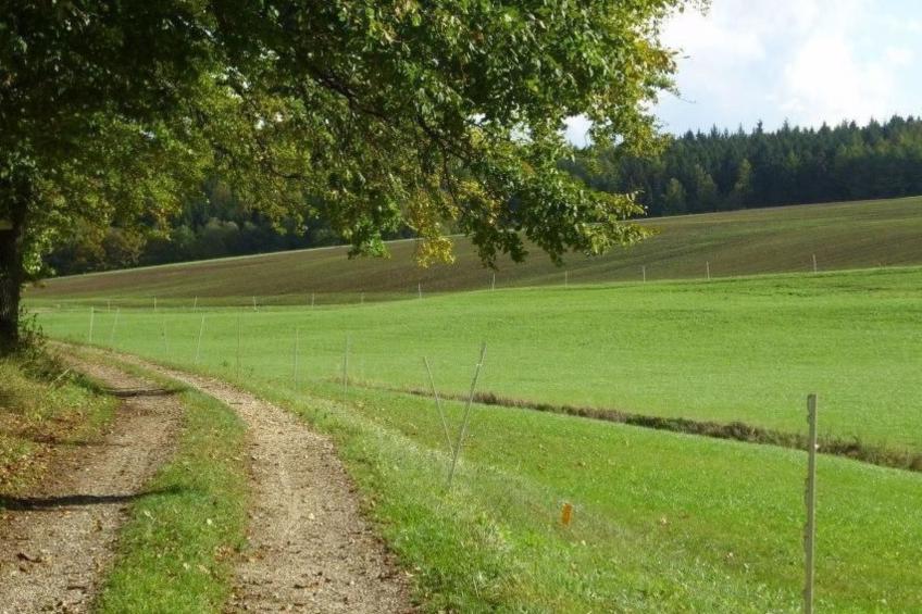 Wohnung in Oberwaldbach mit Garten und Grill - foto 22