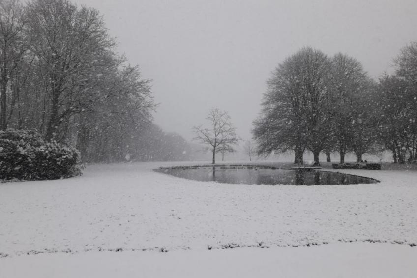 Parc de Kievit 15 - foto 40