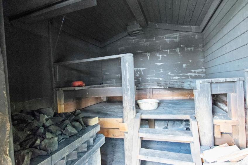 Heinäsorsa - foto 22