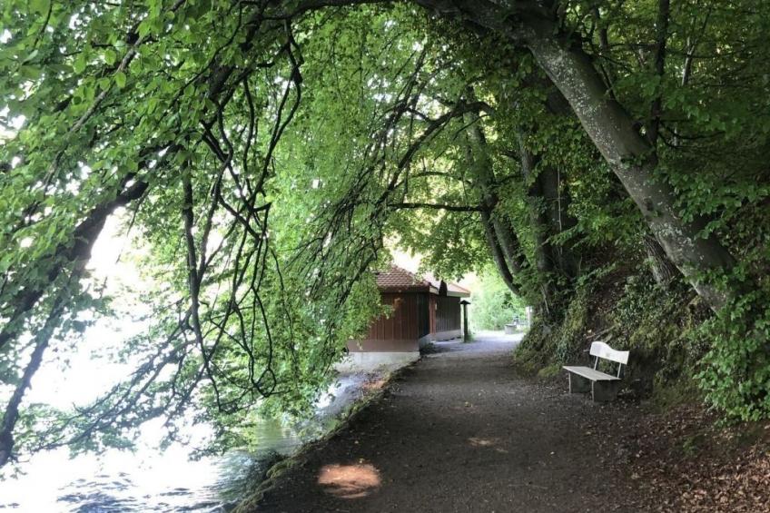 Seepark, direkt am See - foto 20