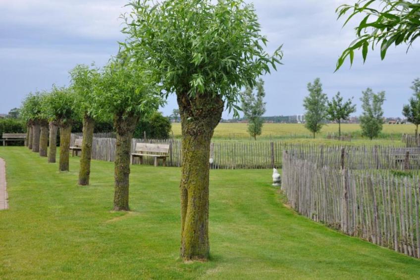 Residence MARINA-31 - foto 36