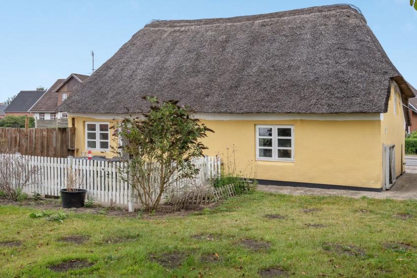 "Miko" - 19km from the sea in Western Jutland - foto 10