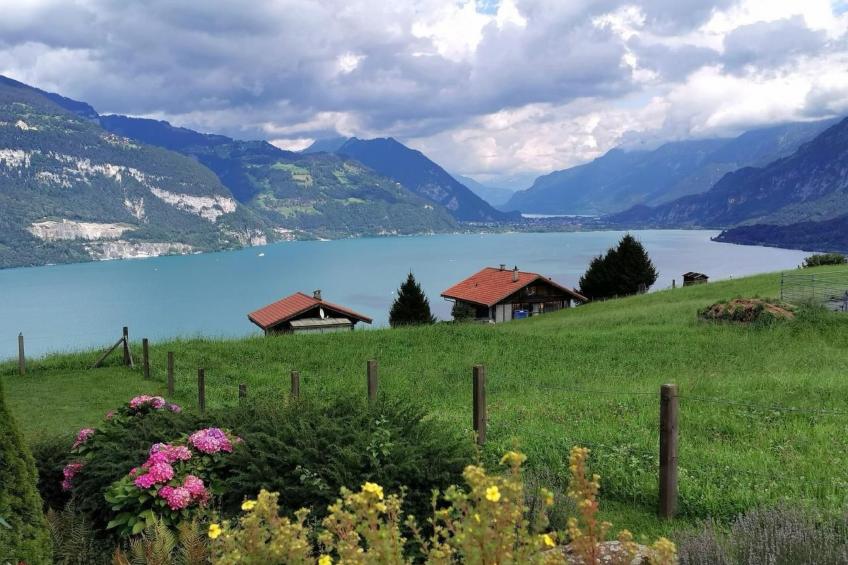 Traumblick Krattigen - foto 17