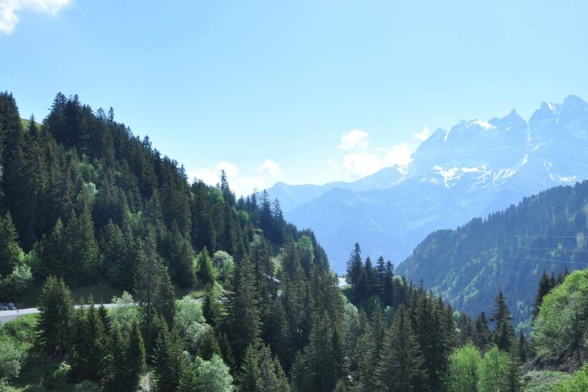 Résid. Sundance 15, (Les Crosets), A-0575 - foto 14