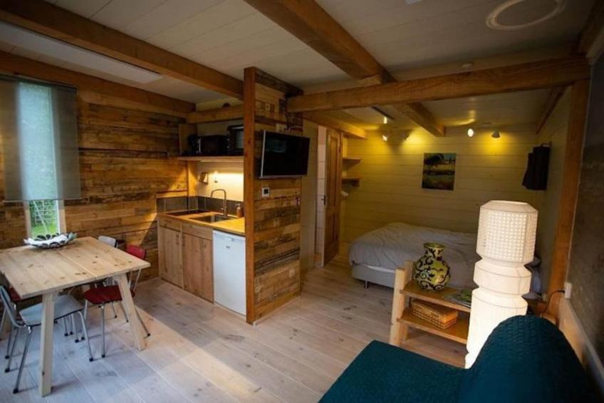 Campanula 171 - foto 3