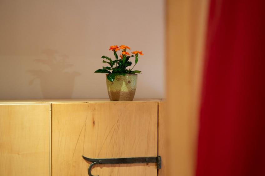 mit Blick auf das Wasser - foto 15