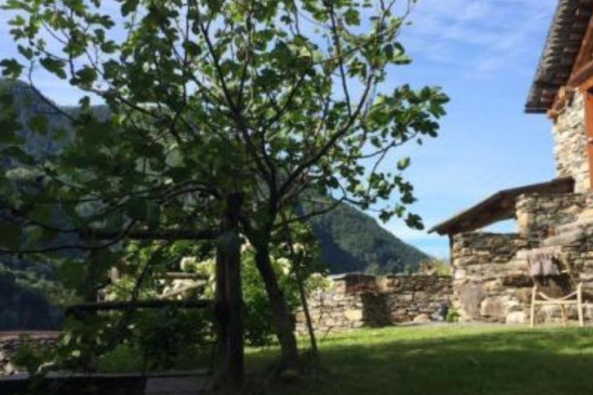 weg von der Zuvielisation - foto 2