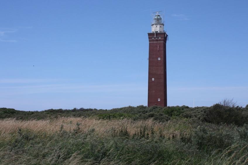 788522 - foto 20