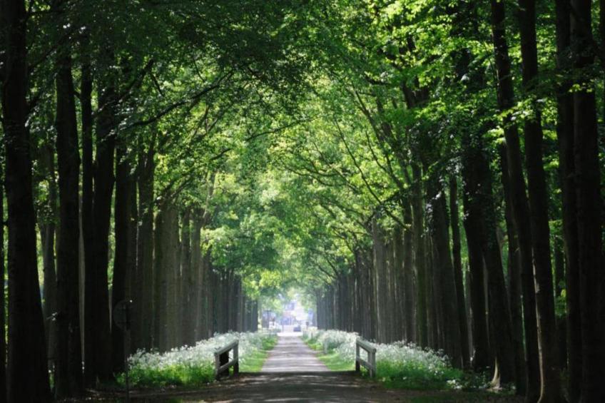 Vakantiepark Mölke 31 - foto 7