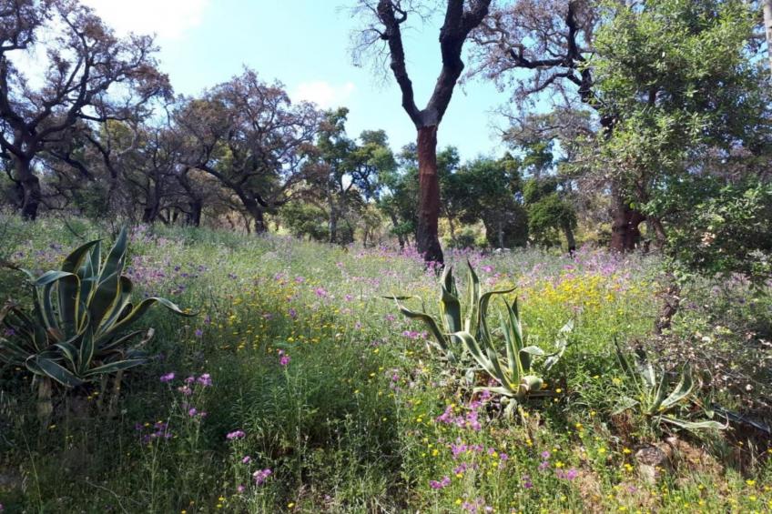 Villa Foz do Banho - foto 36