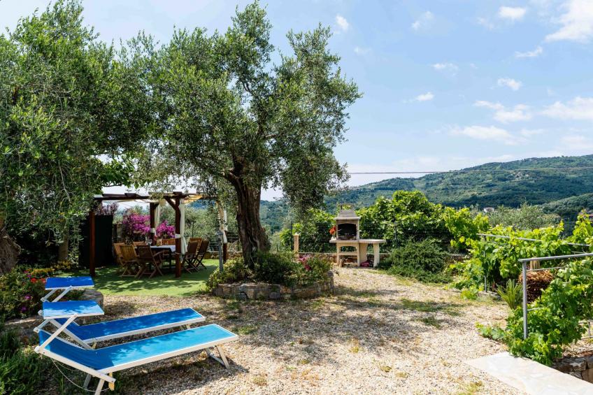 Olive Lodge - foto 42