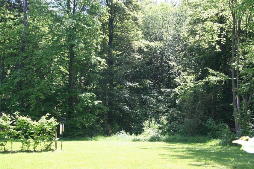 Eifelpark 9 - foto 4