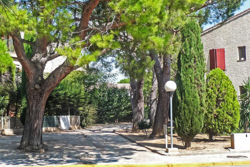 L'Ile heureuse - foto 21