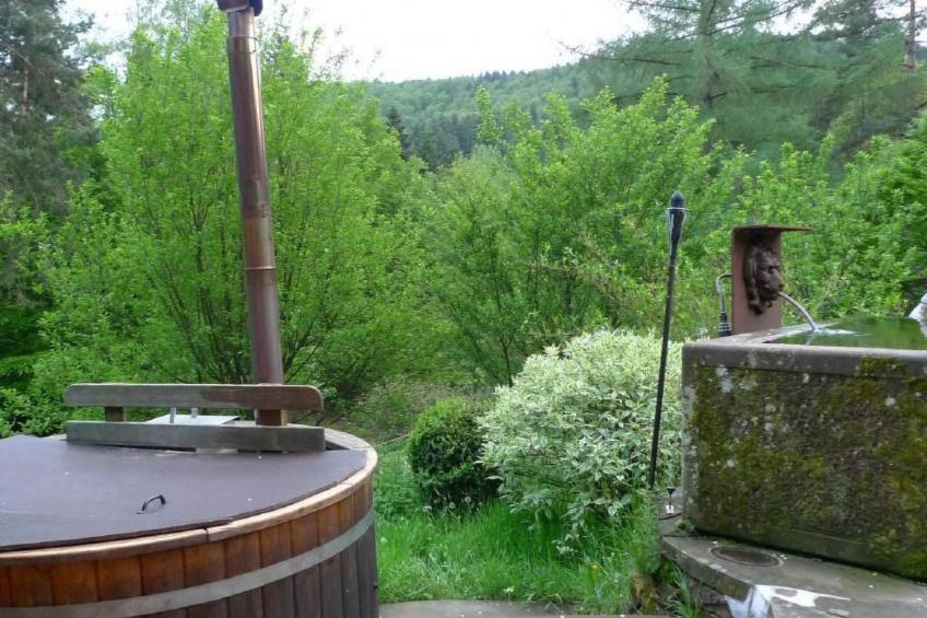 in Walscheid mit Terrasse, Grill - foto 43