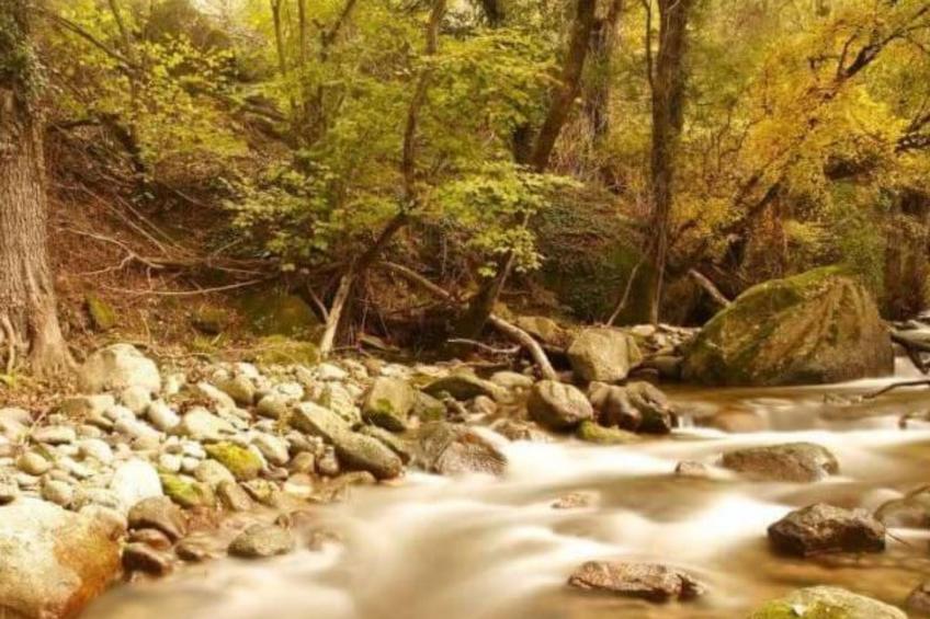 Ideales Refugium in Extremadura Komfort und Natur - foto 18