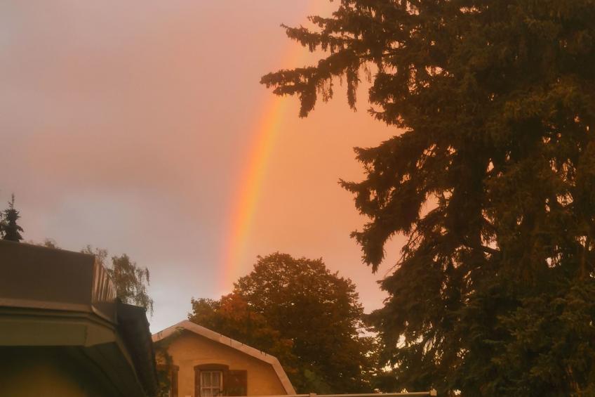 in Müggelheim mit eigener Terrasse - foto 32