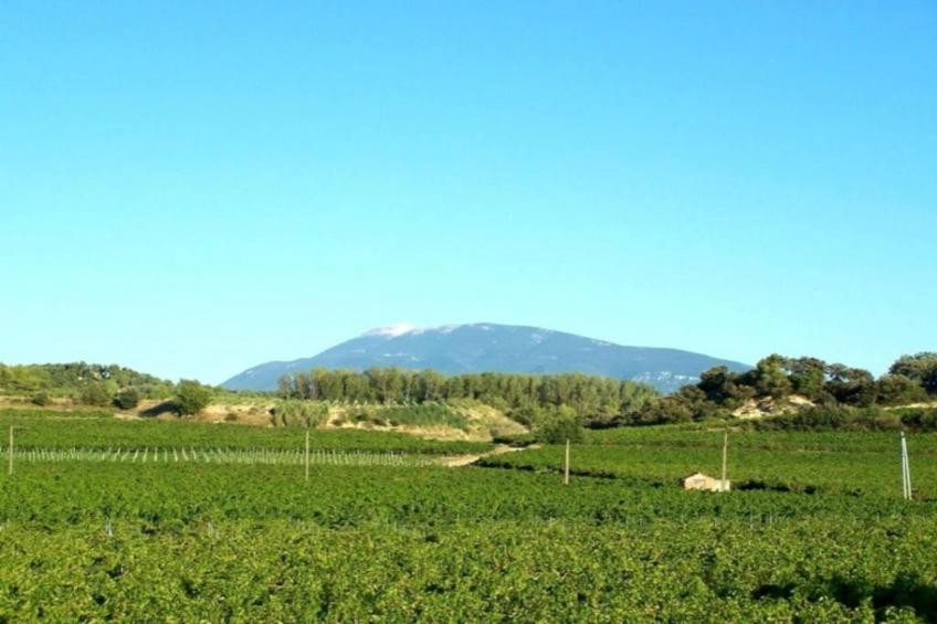 Villa Rose - foto 38
