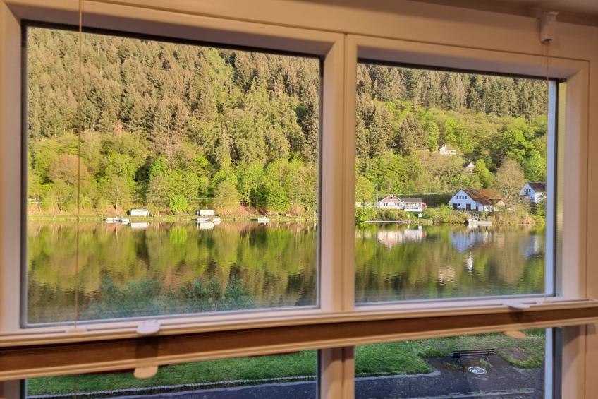 Moselschiefer-Traumferienwohnung am Moselufer - foto 15
