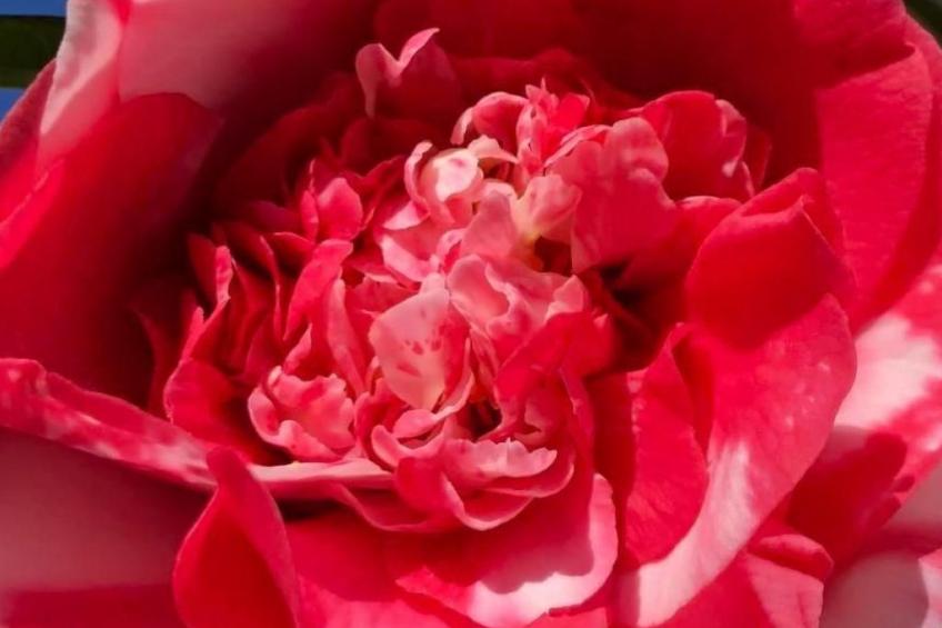 Casa Tintinnio - foto 23