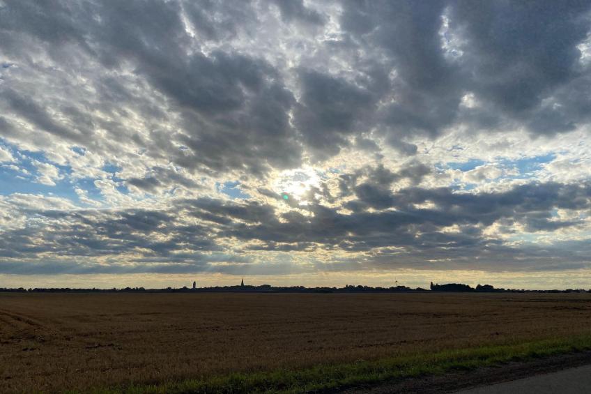 Inselresort Thor Heyerdahl - foto 26