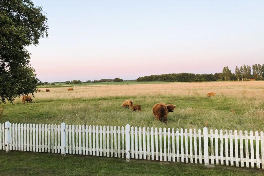 "Roya" - 100m from the sea - foto 15