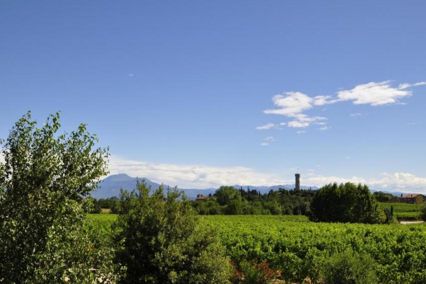Villa Melina - foto 40