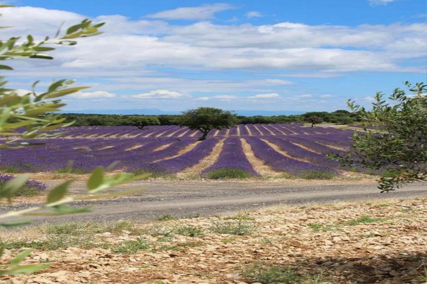 Les Sources de Manon - foto 34