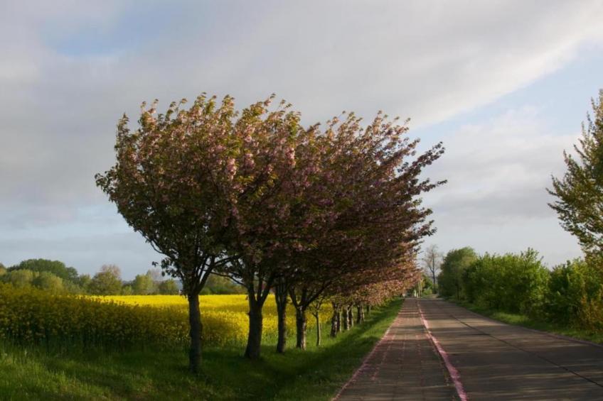 Ferienhaus Hohenkirchen - foto 25
