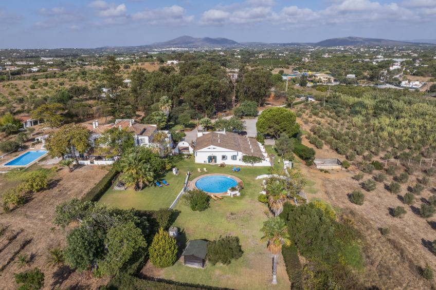 Jardim do Sul - foto 29