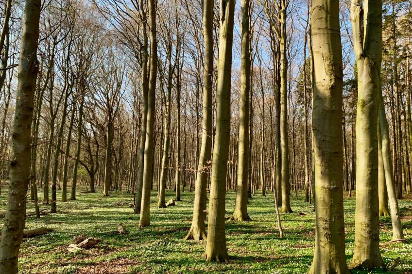 mit Balkon - foto 40