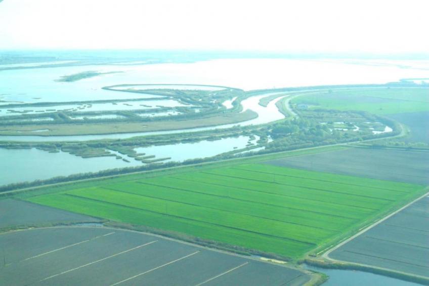 Oasi Bianca - foto 26